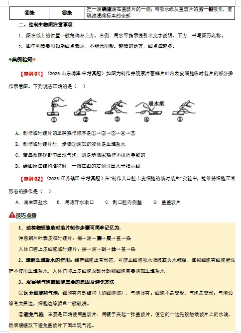 2026年中考(会考)生物二轮复习重难点专练,打印一份给孩子,考试轻松突破90分! 第10张