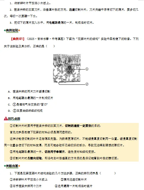 2026年中考(会考)生物二轮复习重难点专练,打印一份给孩子,考试轻松突破90分! 第12张