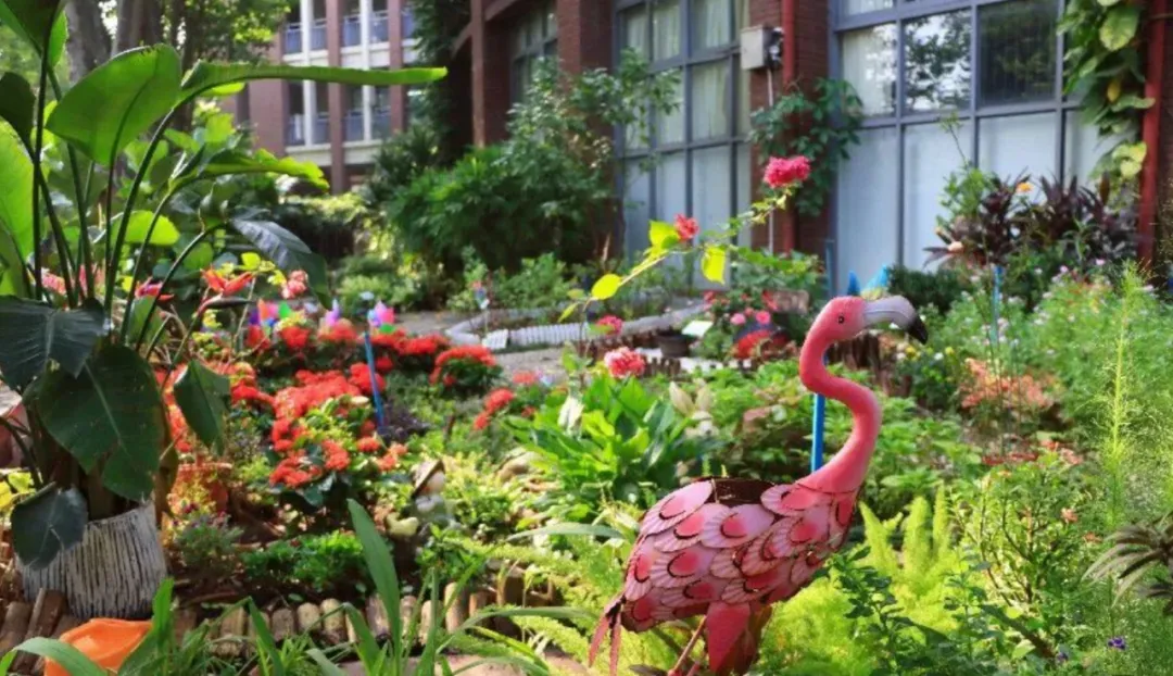 中考 545 分也能冲世界前 60?这所国际部太敢了!4 月 19 日这个交流日别错过一探究竟 第17张