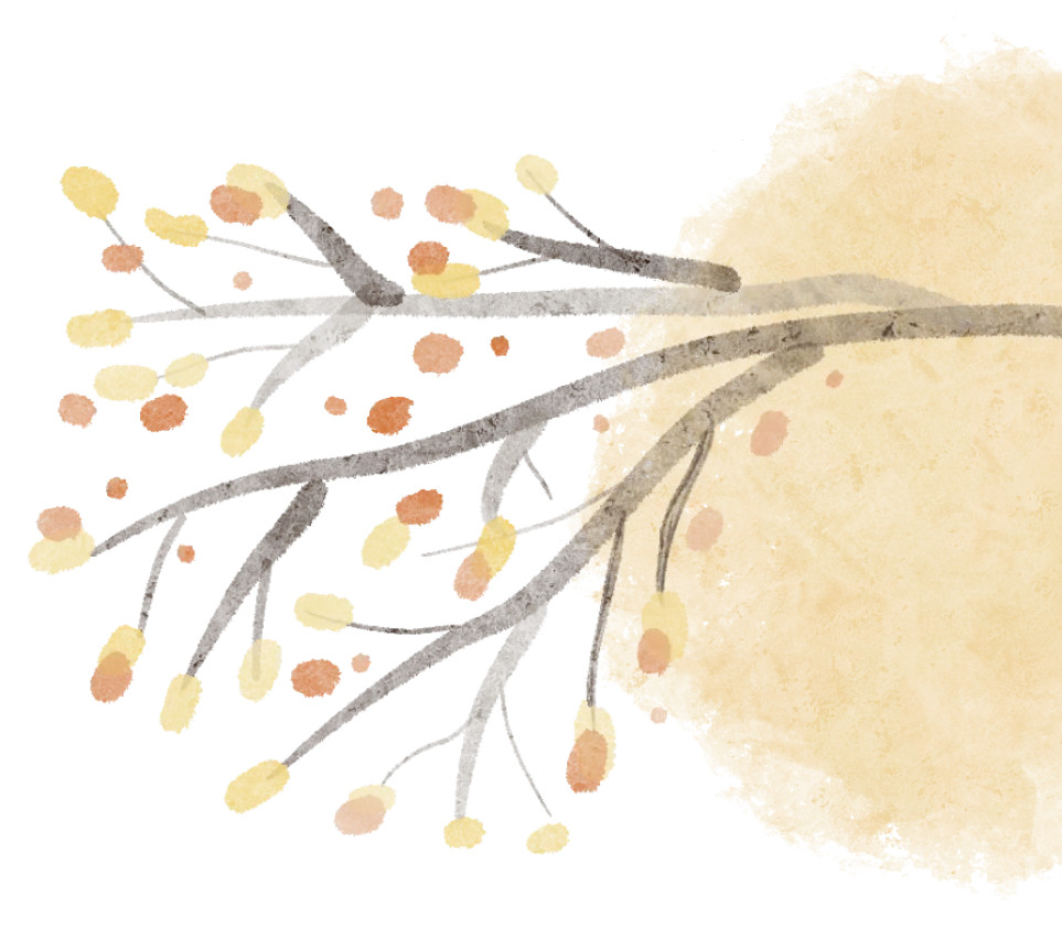 中考真题赋能课堂 | 24省卷 滤纸漏斗问题 第7张