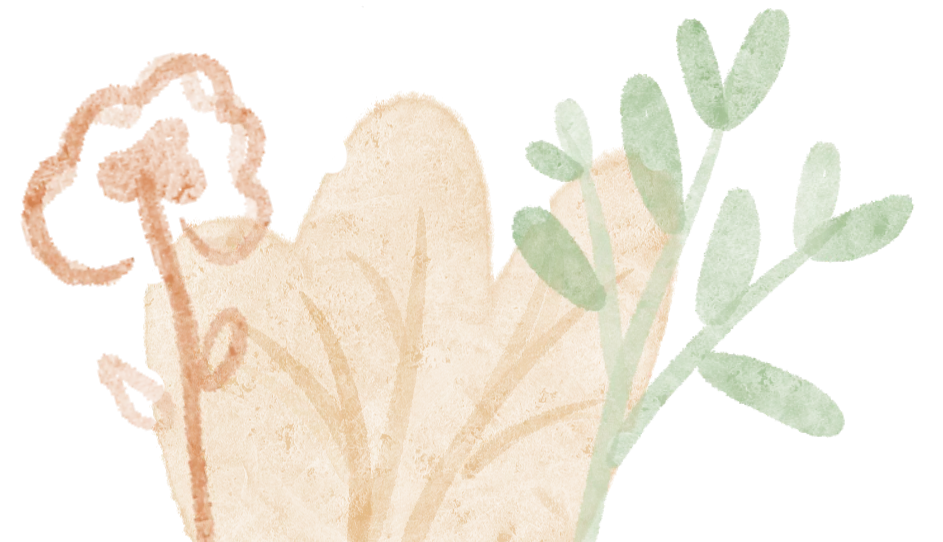 中考真题赋能课堂 | 24省卷 滤纸漏斗问题 第11张