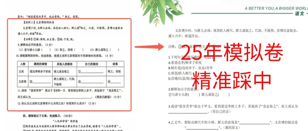 26年济南1-5年级期中试卷+重点知识汇总+模拟卷 免费领!还有配套讲解课 第4张