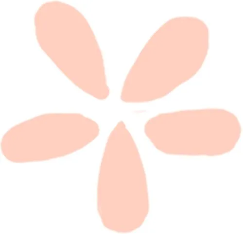 2026陕西中考实验操作|物理评分规则、失分陷阱与高效备考指南 第12张