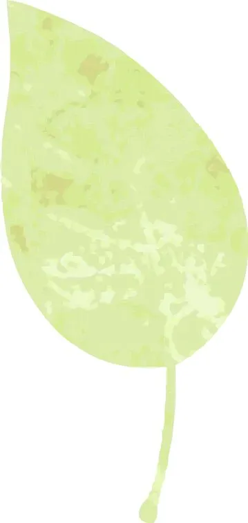 2026陕西中考实验操作|物理评分规则、失分陷阱与高效备考指南 第13张