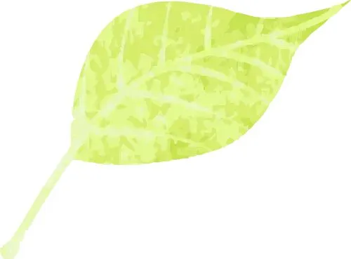 2026陕西中考实验操作|物理评分规则、失分陷阱与高效备考指南 第14张