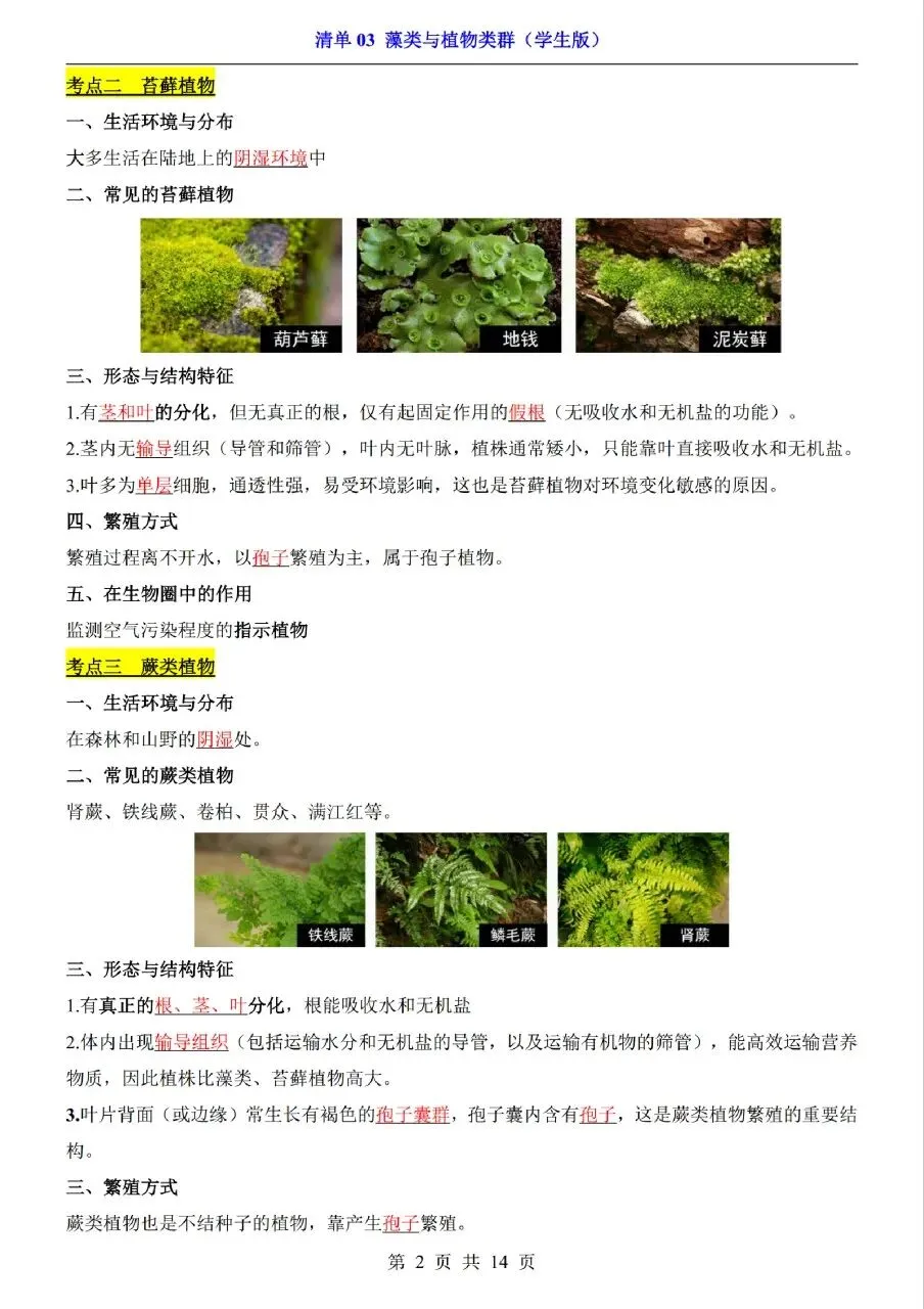 中考生物专题分享-03藻类与植物类群 第2张