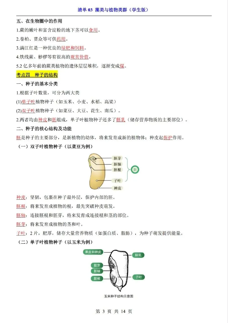 中考生物专题分享-03藻类与植物类群 第3张