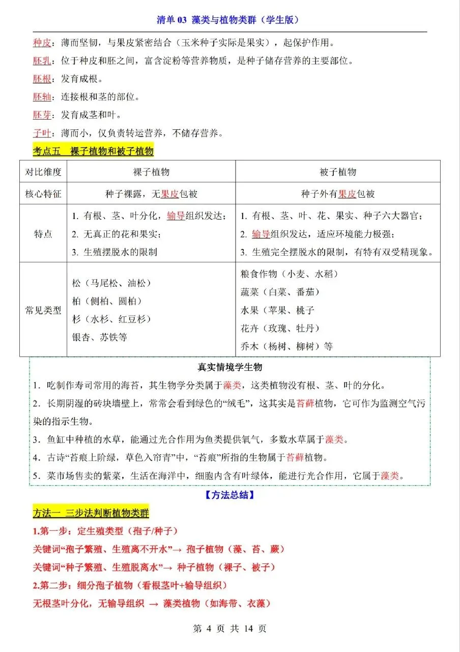 中考生物专题分享-03藻类与植物类群 第4张