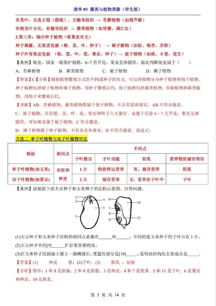 中考生物专题分享-03藻类与植物类群 第5张