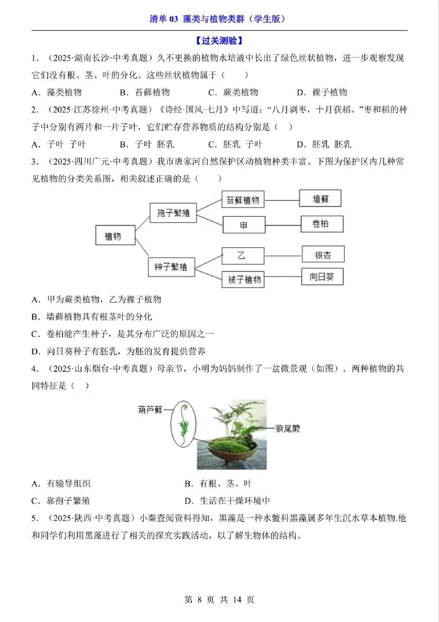 中考生物专题分享-03藻类与植物类群 第8张