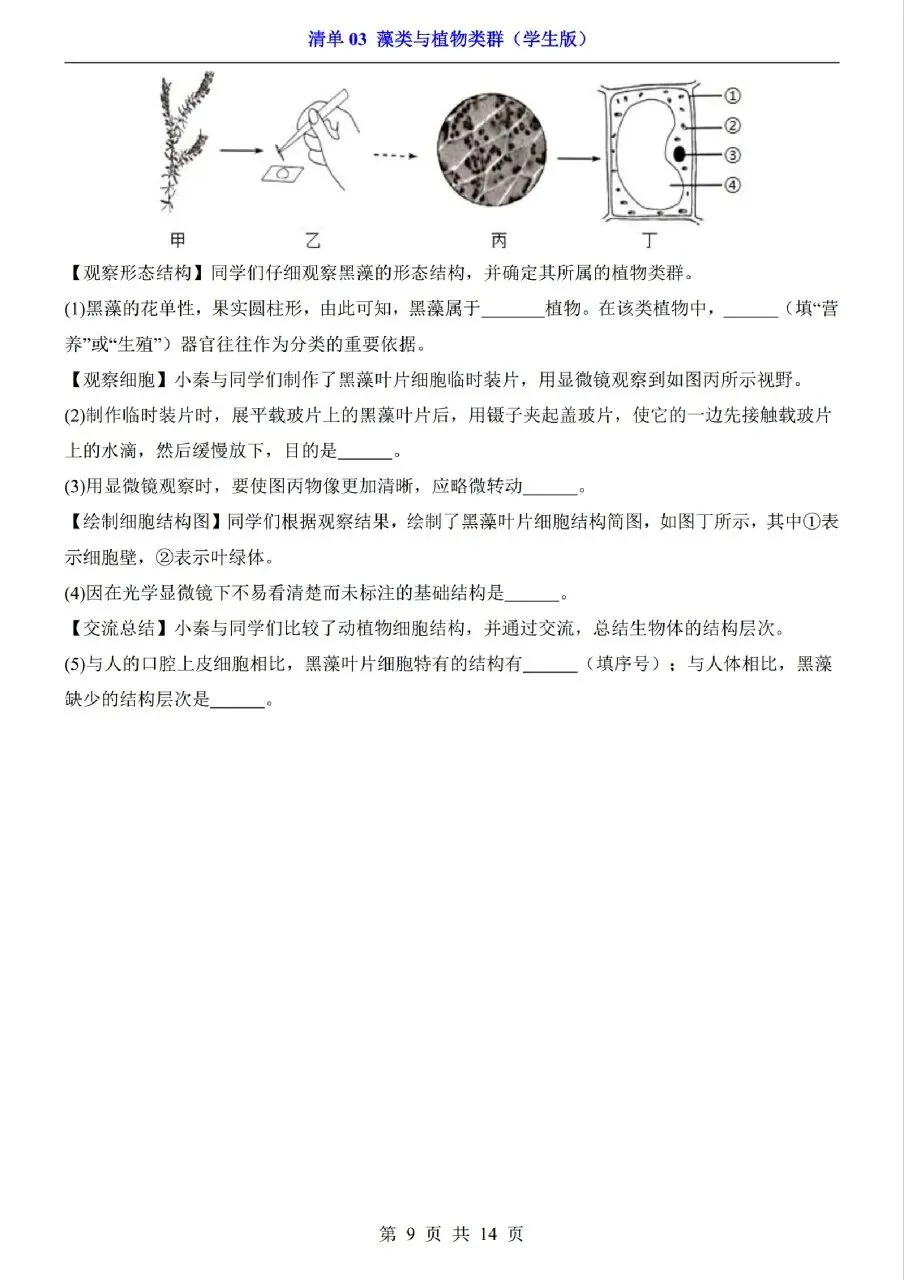 中考生物专题分享-03藻类与植物类群 第9张