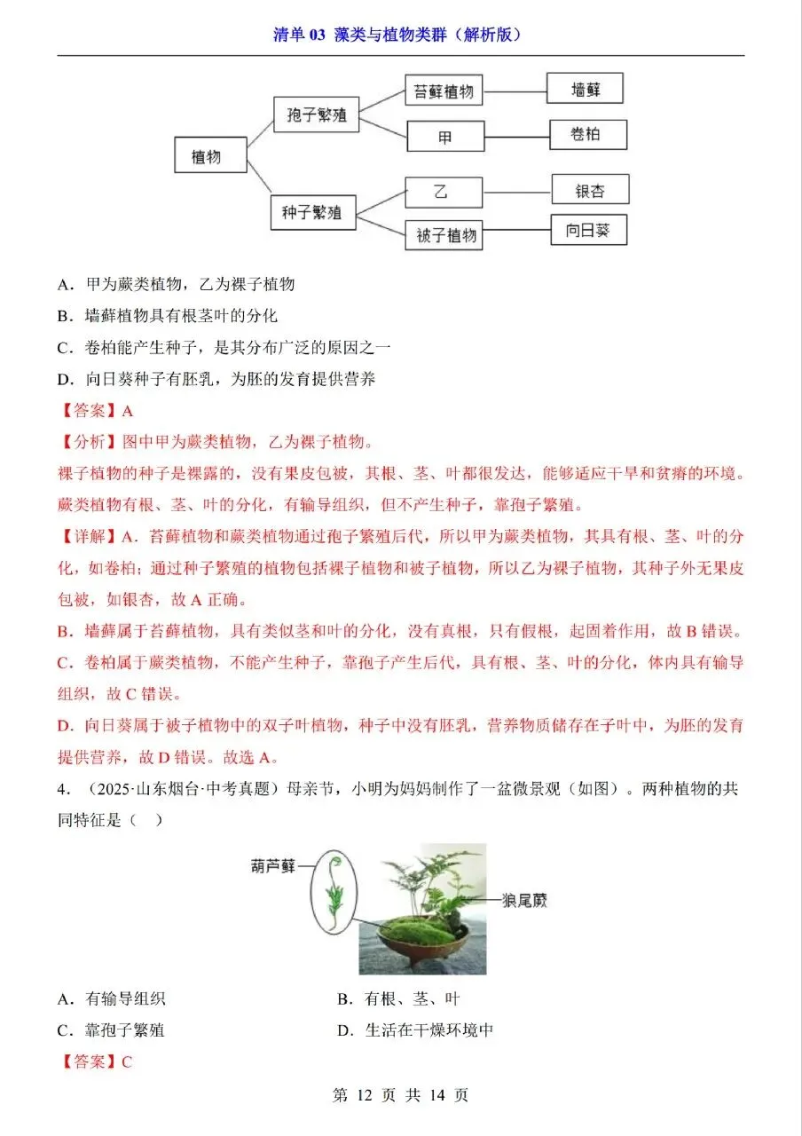 中考生物专题分享-03藻类与植物类群 第12张