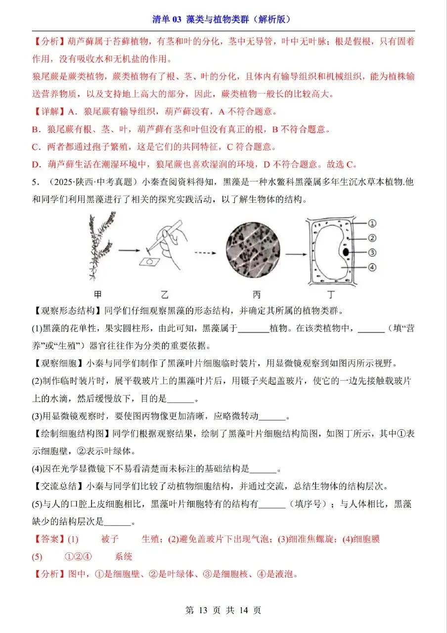 中考生物专题分享-03藻类与植物类群 第13张