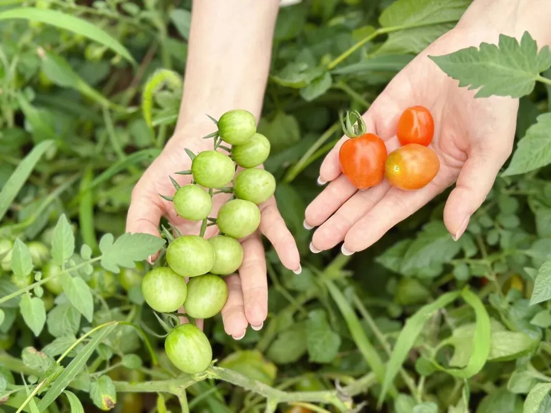 北区教育新贵!炸场首届中考+八中本部直管!揭秘重庆这所八中嫡系公办学校~ 第25张