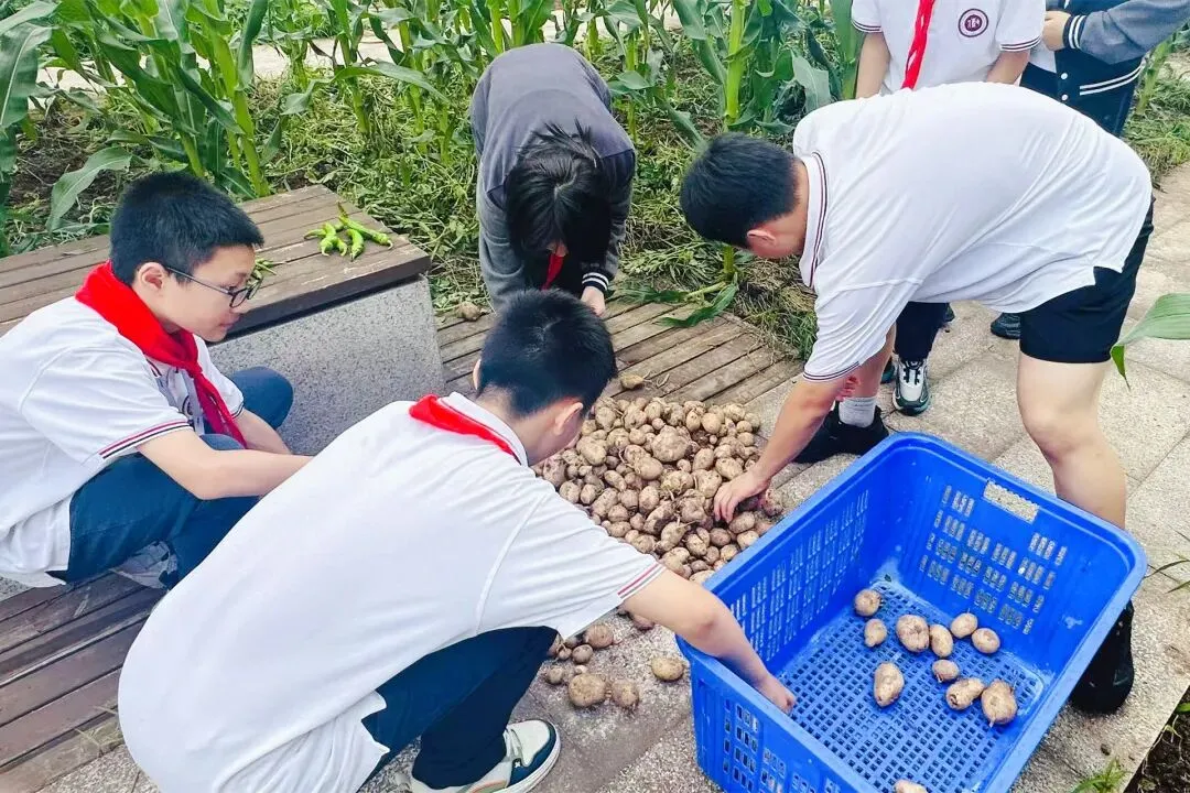 北区教育新贵!炸场首届中考+八中本部直管!揭秘重庆这所八中嫡系公办学校~ 第26张