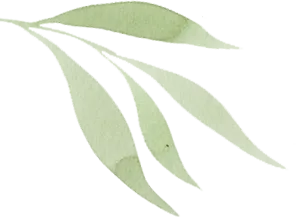 孩子要中考了,这房腾还是不腾? 第2张