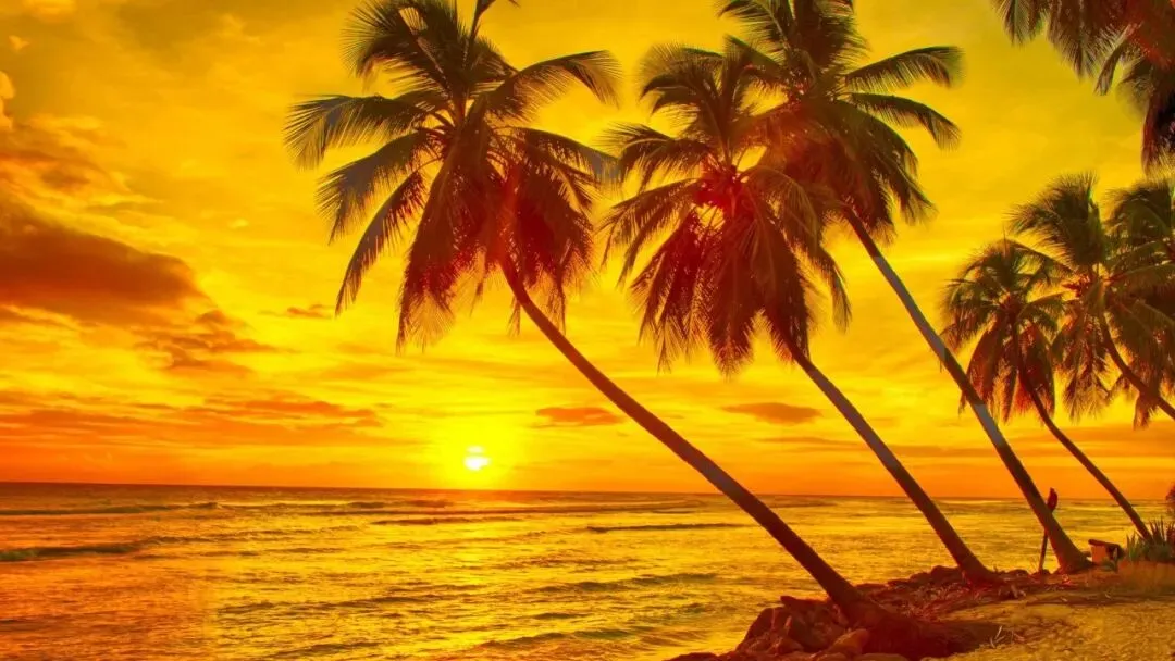 【分享】-四川音乐学院考研,专业课历年真题答案汇总,高分笔记资料题库,知识点视频教程课件,初试复试录用名单 第1张