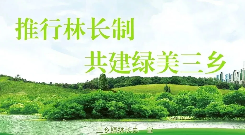 纪中、一中、侨中等都要来!事关中考 第11张