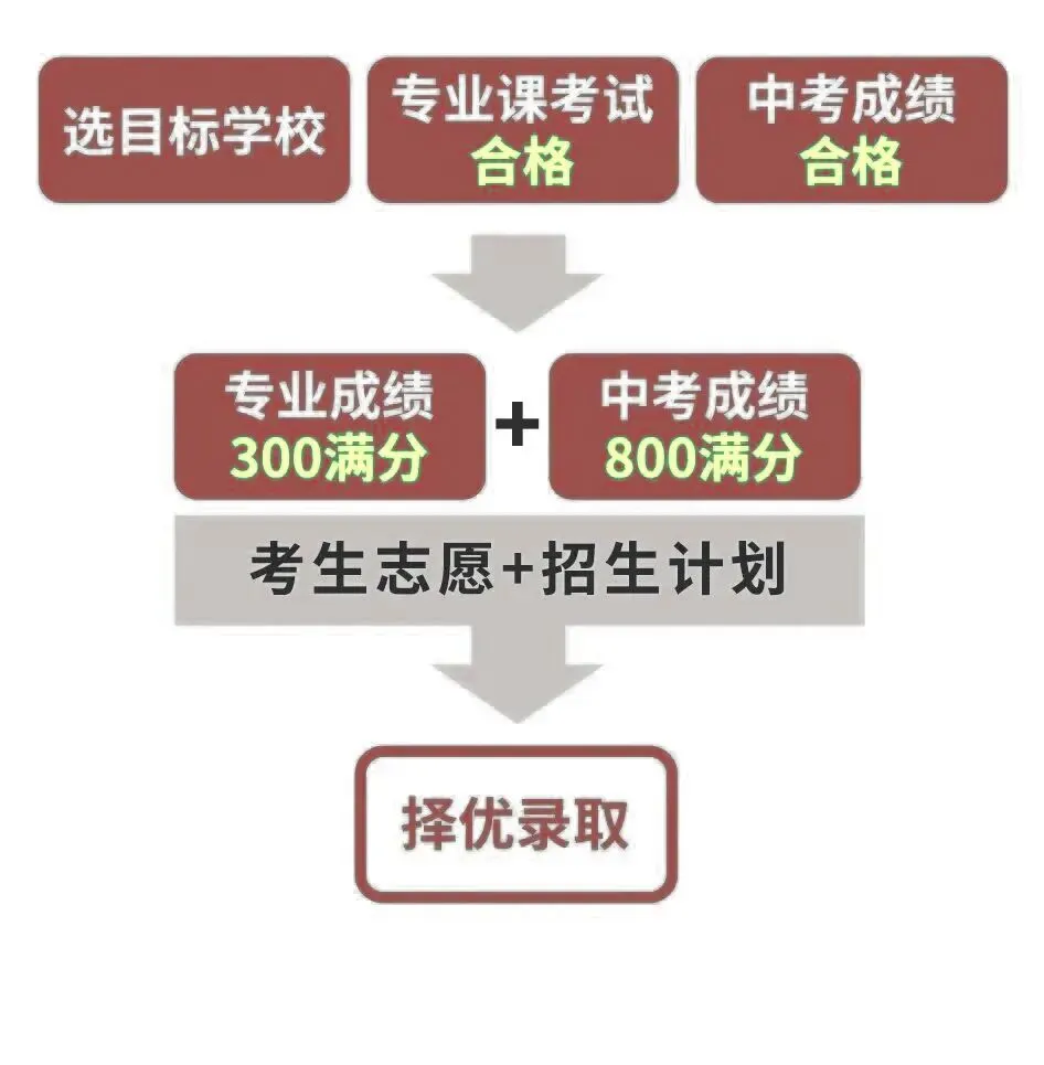 喜报!指路者画室2026天津美术中考成绩斐然,290以上2人,实力领跑,再创辉煌! 第26张