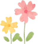 深耕主题复习 聚力中考备考——记金石实验中学九年级英语主题复习课教研活动 第5张