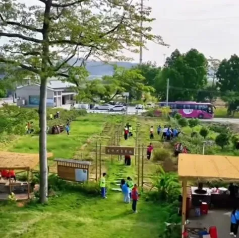 事关肇庆中考升学!官方答疑→ 第5张