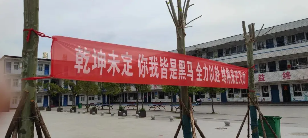 写给中考冲刺的孩子们 第1张