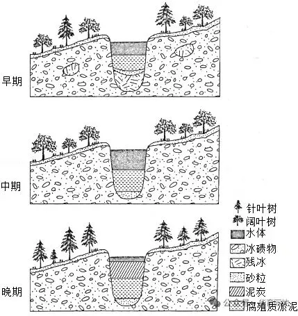 【真题解析】帕里索夫湖区域的植被和湖底沉积物的演化 第1张