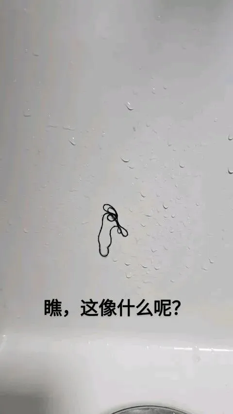 【第698期】高三:2026年安徽模拟考试语文作文题目及范文 第2张