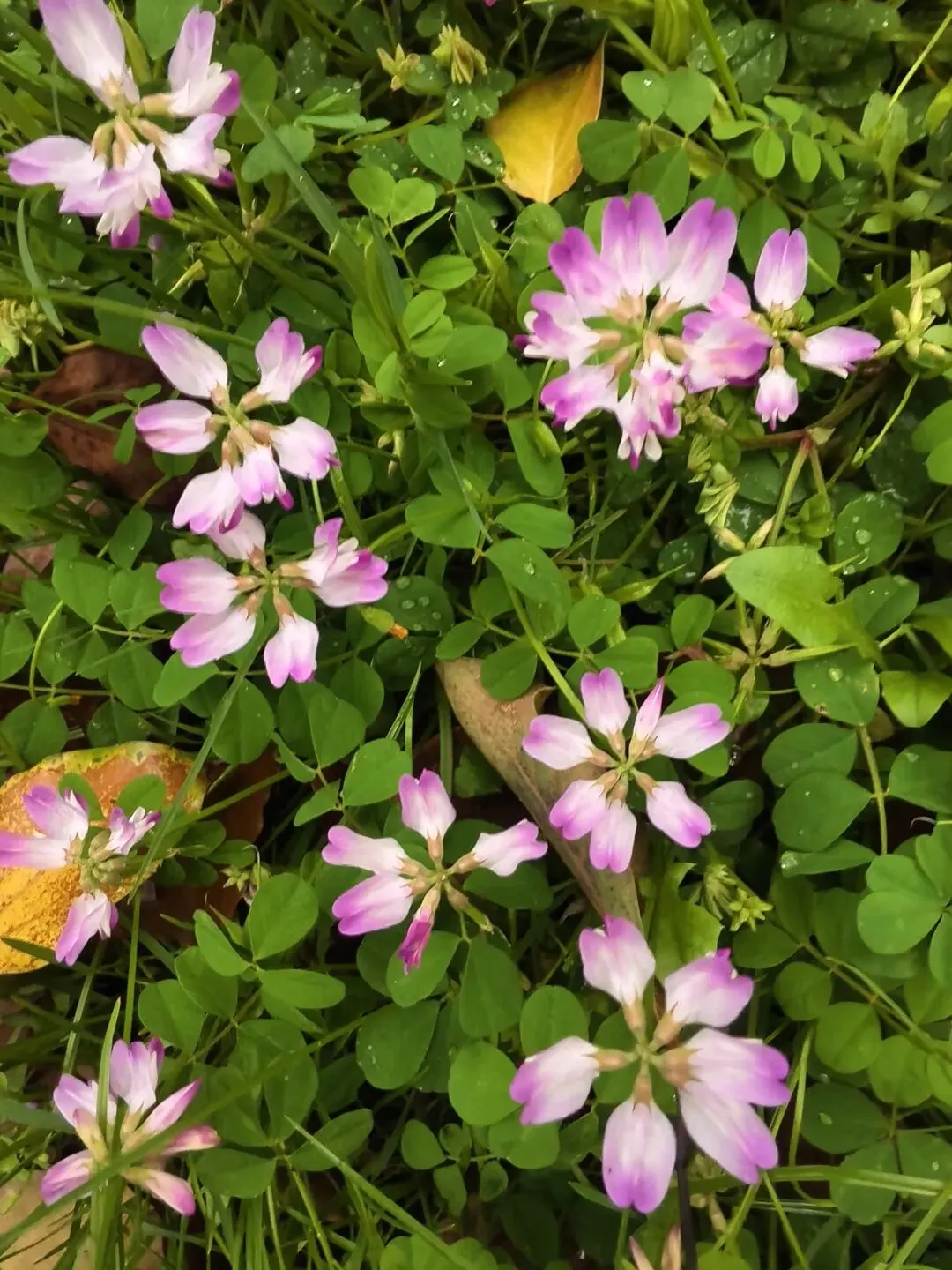 中考倒计时61天:一模过半别对答案别焦虑,今晚好好睡 第1张