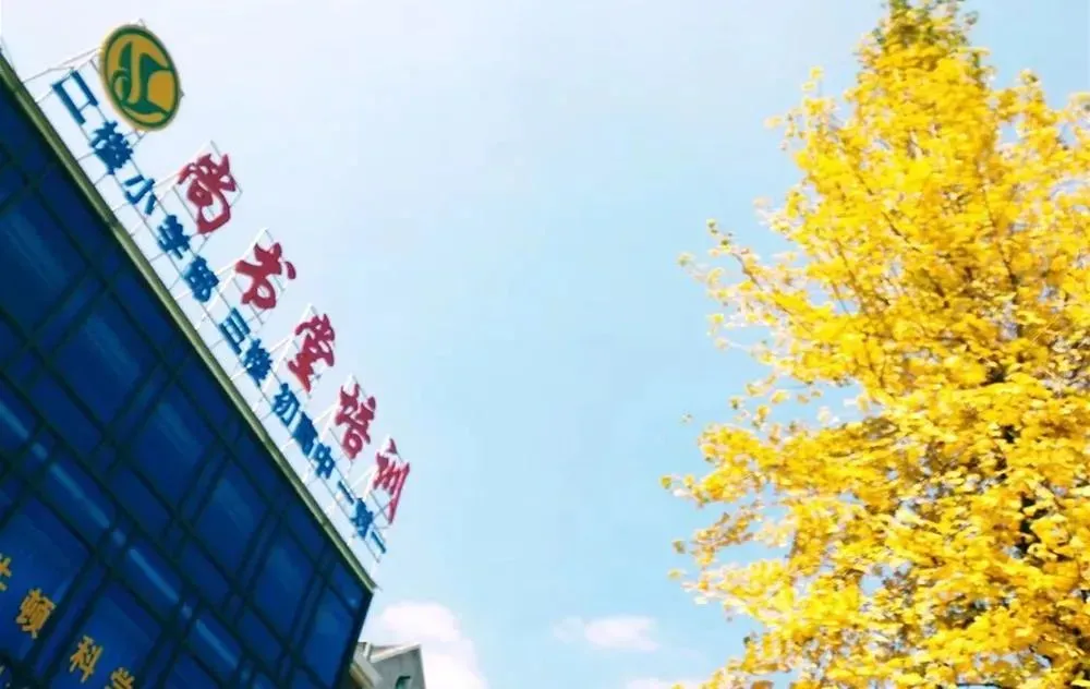 2026年第三届雁城·拔创杯(初二)试卷+解析视频来了 第6张