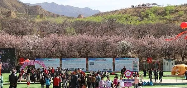 @考生 大同市中考理化生实验操作考试5月开考 第9张