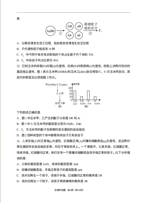 高一下册 生物3月练习试卷 第4张