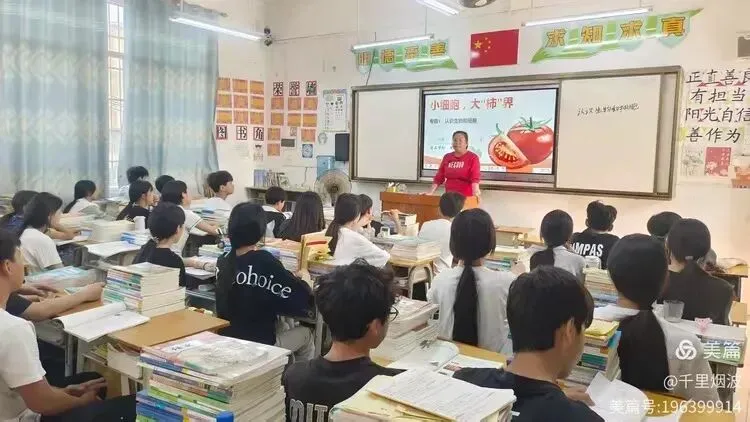 聚焦中考备考 共研教学实效——2026年春季学期平桂区沙田片区初中生物学科第一次教研活动纪实 第5张