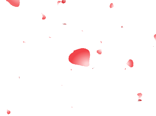 【中考专栏】以模考为梯,赴中考之约 第9张