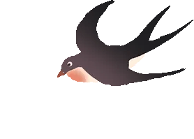 【中考专栏】以模考为梯,赴中考之约 第10张