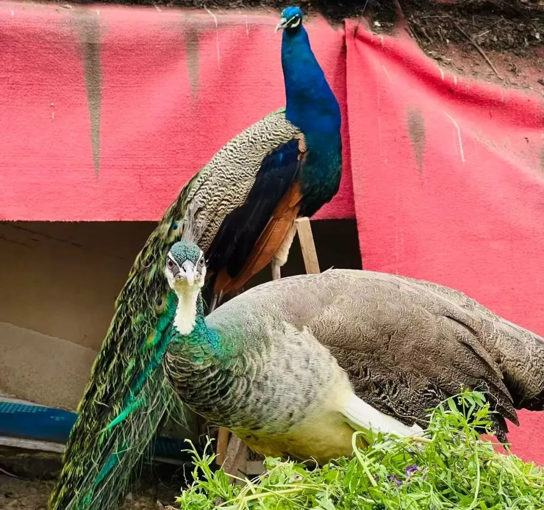 距离中考59天丨一个字:稳 第4张