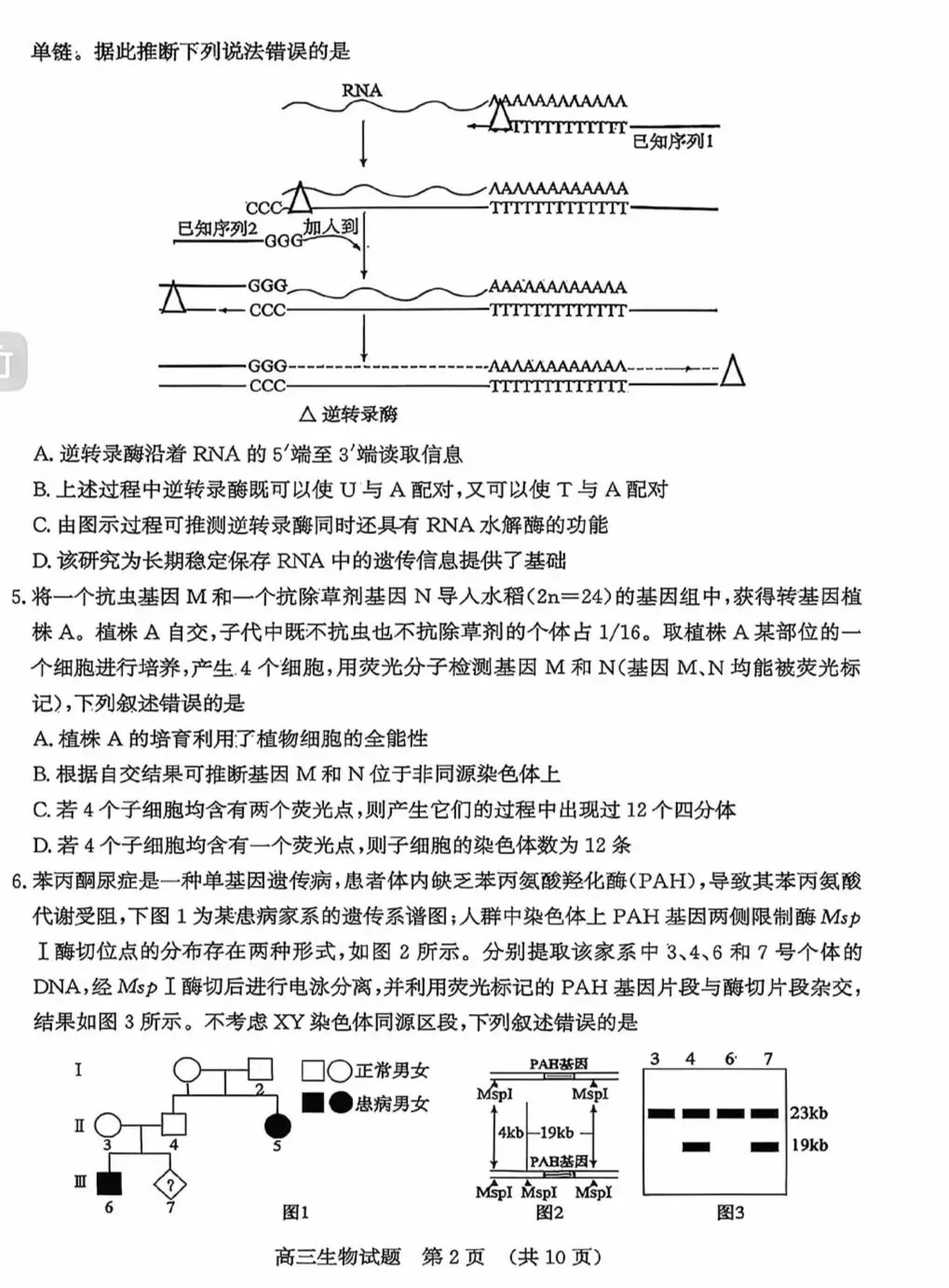 济南市2026届高三4月第二次模拟考试生物学试题及答案 第2张
