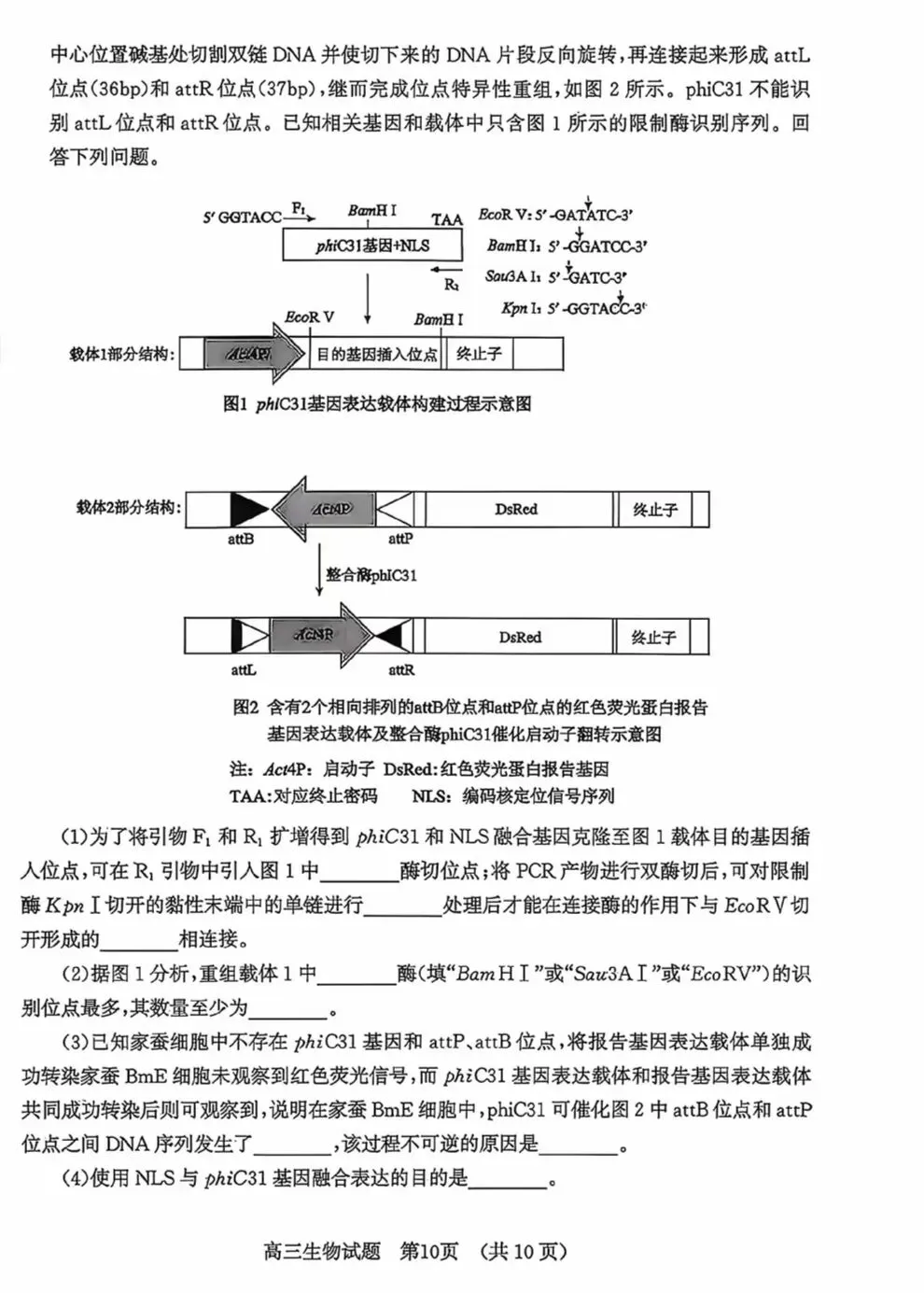 济南市2026届高三4月第二次模拟考试生物学试题及答案 第10张