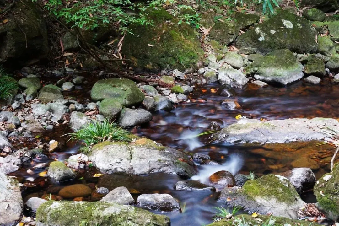 中考满分作文:《给_____的一封信》(范文9篇) 第2张