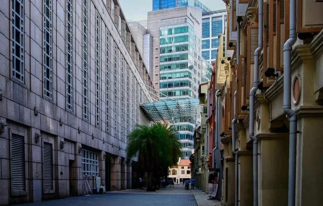 中考新政下,3 条新加坡升学路径才是逆袭的黄金赛道 第5张