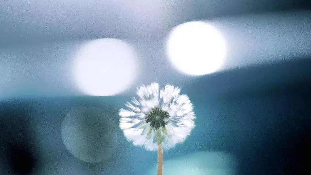 上海中考作文深度解析|2020《有一种甜》高分例文 第4张