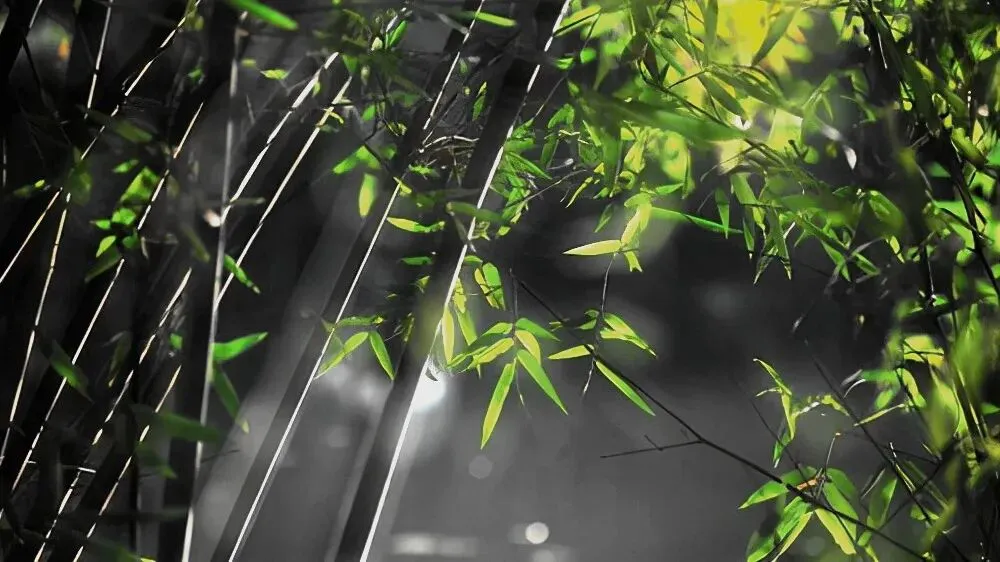 上海中考作文深度解析|2020《有一种甜》高分例文 第7张