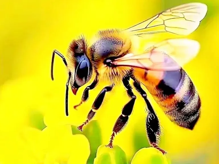 上海中考作文深度解析|2020《有一种甜》高分例文 第9张