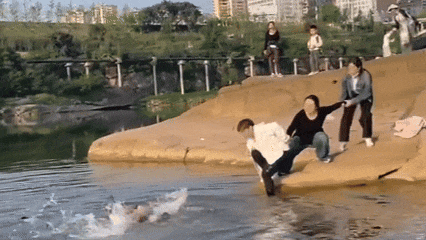 直冲30℃+10级风!河北大部有雨;中考计分方式调整!多地官宣;22批次化妆品不合格;别等不适才检查!这种癌发现多是中晚期→|新闻晨报 第29张