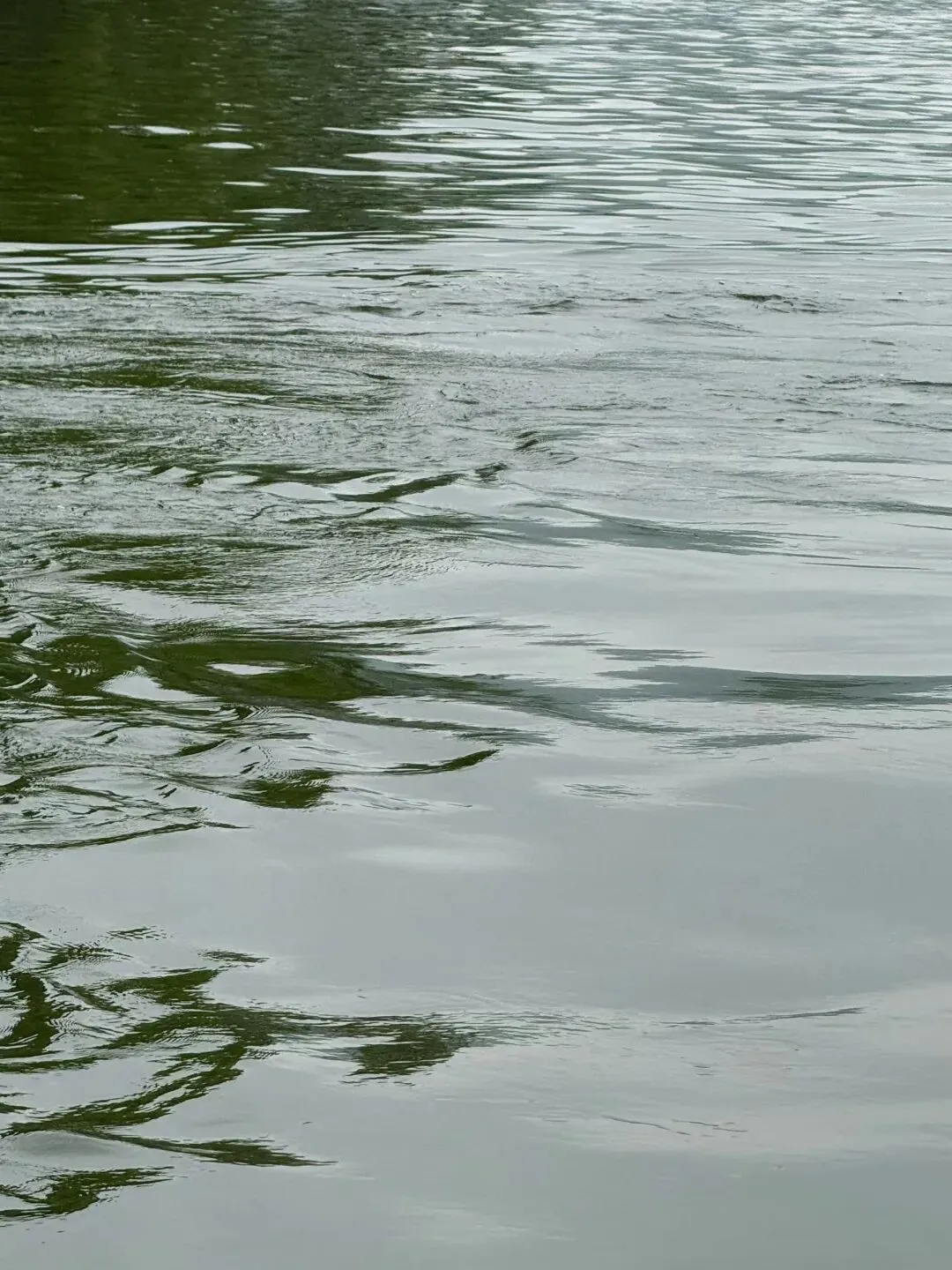 考题速递:广东省惠州市 2026 届高三模拟考试数学参考答案与评分细则 第17张