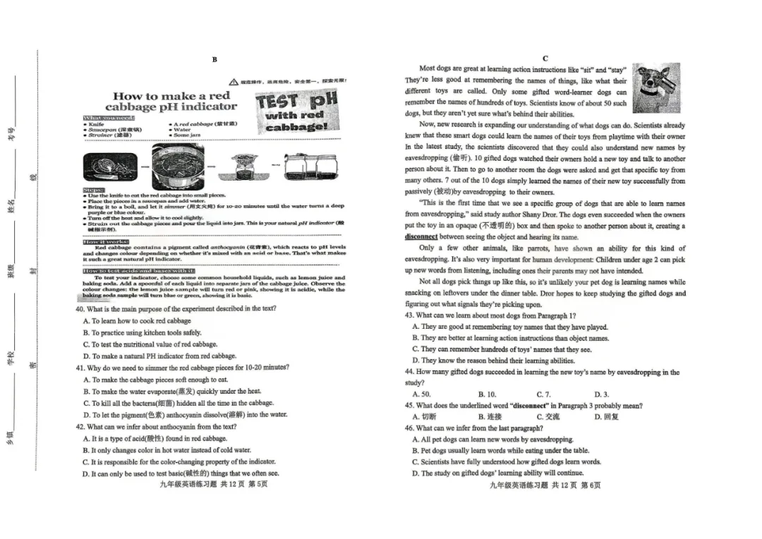 一模真题-2026山东泰安市岱岳区中考一模英语试卷真题(完整版 + 答案) 第8张