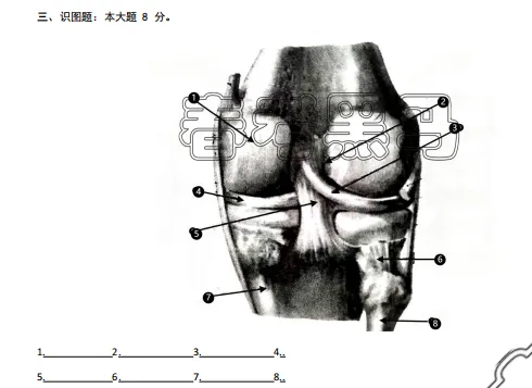 26年春考医学技术专业丨历年真题识图题汇总(2015年——2025年) 第17张