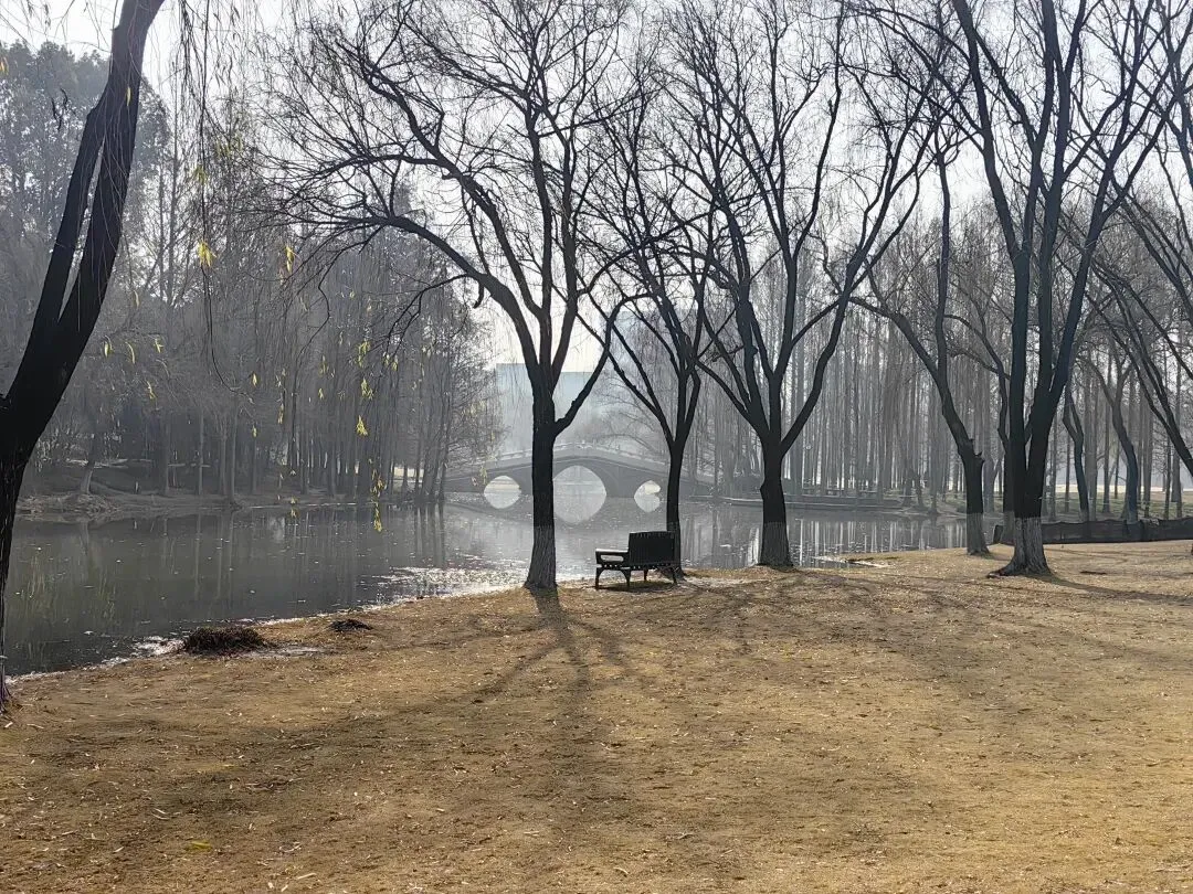 中考后还有高考,距离梦中情校“浙江大学”还有多远——“小稻米”的浙大探校记 第3张