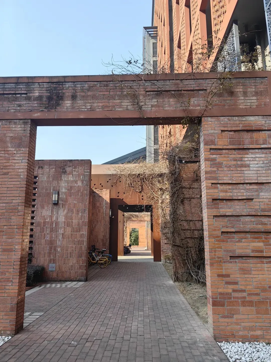 中考后还有高考,距离梦中情校“浙江大学”还有多远——“小稻米”的浙大探校记 第14张