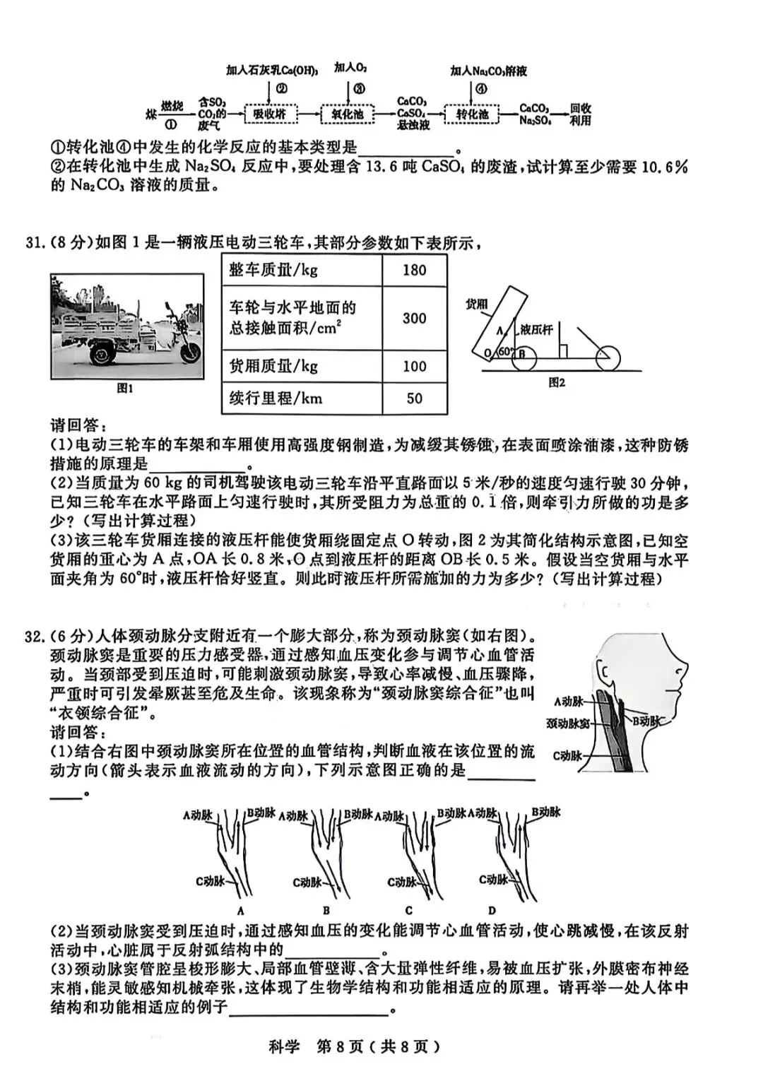 2026.4浙江临平、余杭一模科学试卷及答案 第10张